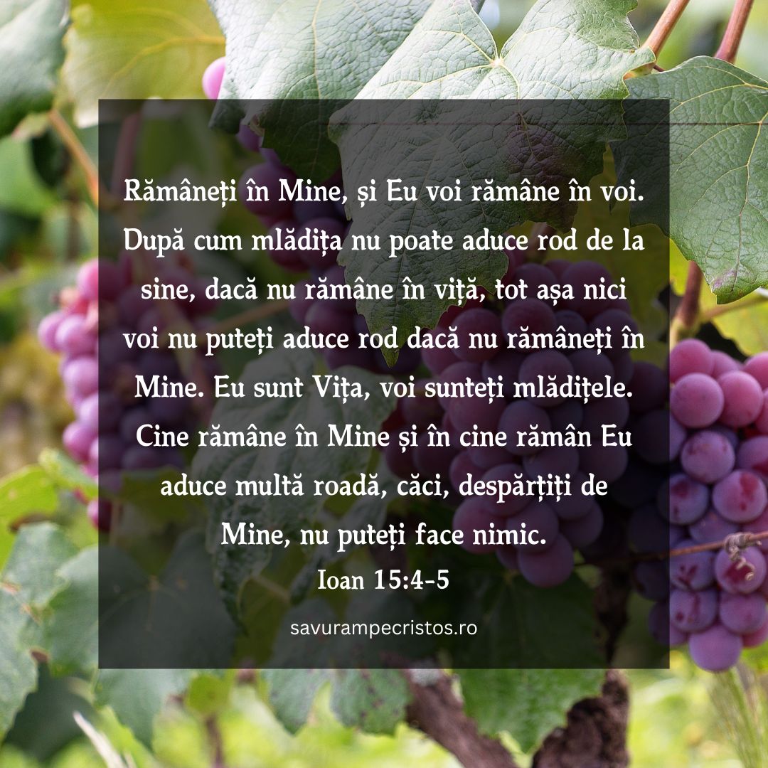 Rămâneți în Mine, și Eu voi rămâne în voi. După cum mlădița nu poate aduce rod de la sine, dacă nu rămâne în viță, tot așa nici voi nu puteți aduce rod dacă nu rămâneți în Mine. Eu sunt Vița, voi sunteți mlădițele. Cine rămâne în Mine și în cine rămân Eu aduce multă roadă, căci, despărțiți de Mine, nu puteți face nimic. Ioan 15:4-5