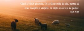 Când a văzut gloatele, I s-a făcut milă de ele, pentru că erau necăjite și risipite, ca niște oi care n-au păstor. Mat. 9:36