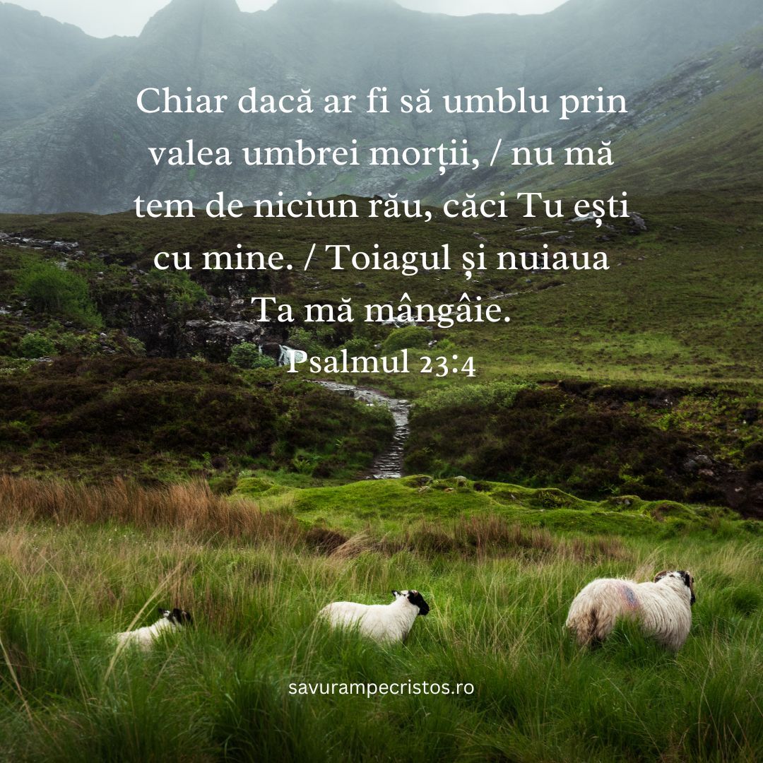 Chiar dacă ar fi să umblu prin valea umbrei morții, / nu mă tem de niciun rău, căci Tu ești cu mine. / Toiagul și nuiaua Ta mă mângâie. Psalmul 23:4