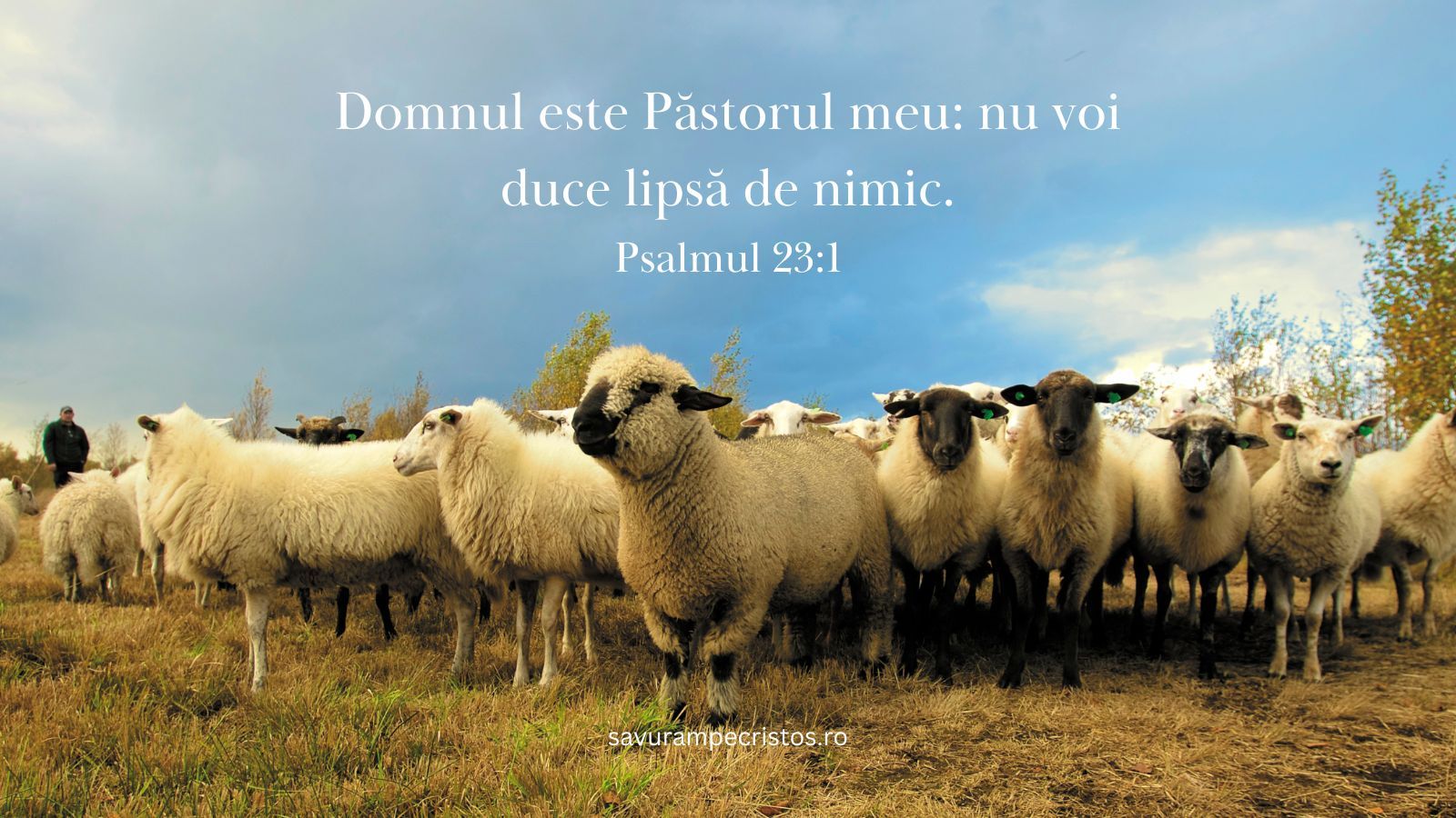 Domnul este Păstorul meu: nu voi duce lipsă de nimic. Psalmul 23:1
