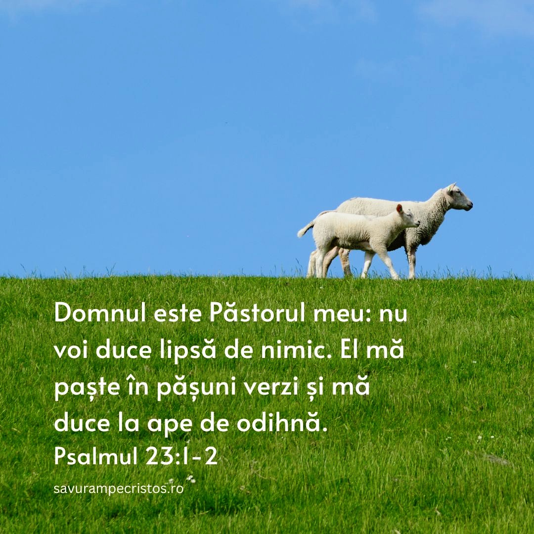 Domnul este Păstorul meu: nu voi duce lipsă de nimic. El mă paște în pășuni verzi și mă duce la ape de odihnă. Psalmul 23:1-2