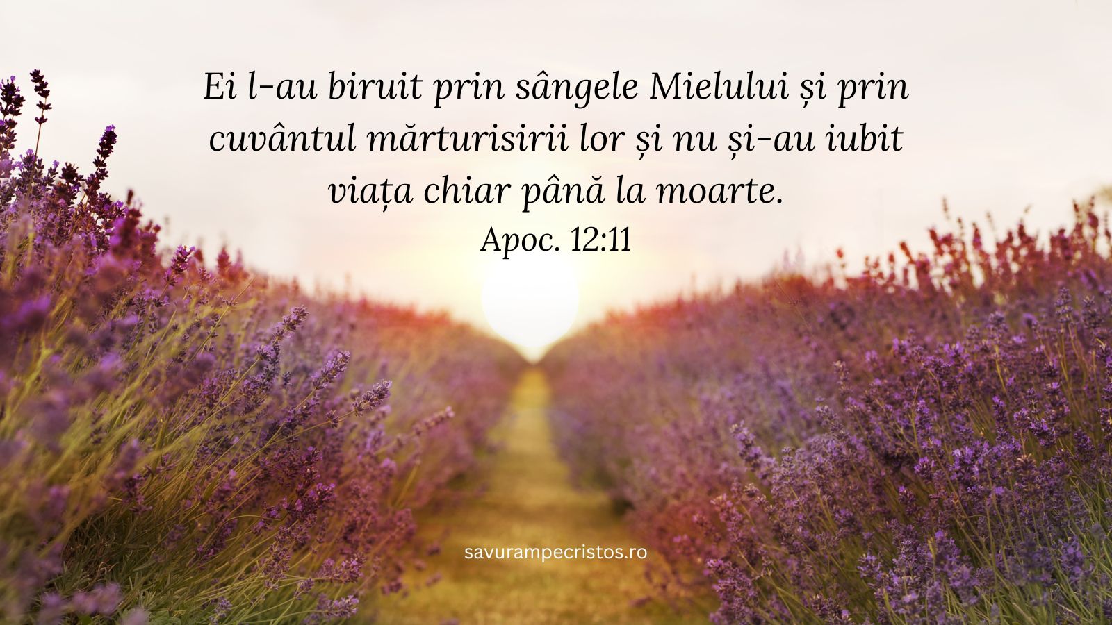 Ei l-au biruit prin sângele Mielului și prin cuvântul mărturisirii lor și nu și-au iubit viața chiar până la moarte. Apoc. 12:11