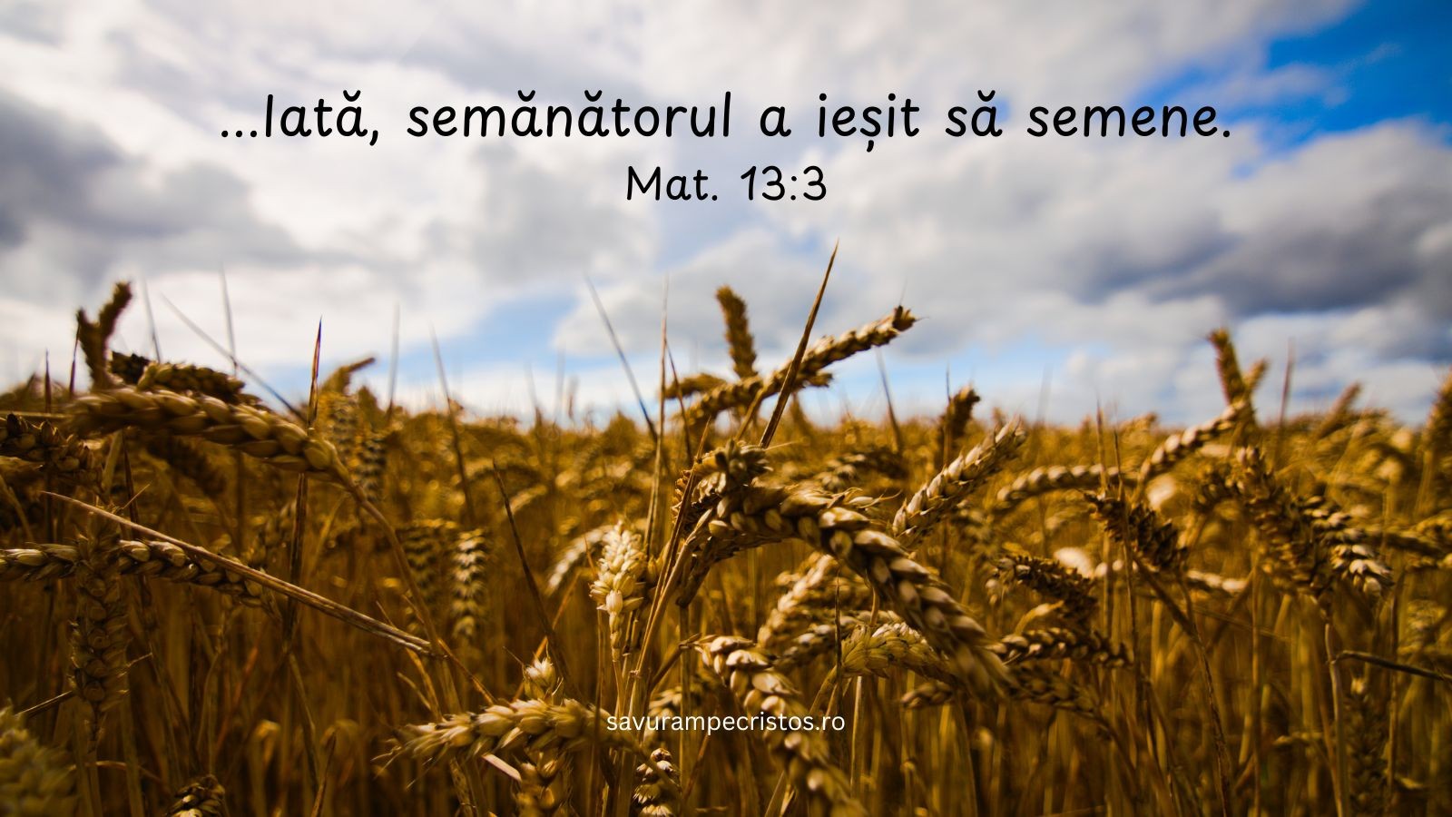 ...Iată, semănătorul a ieșit să semene. Mat. 13:3