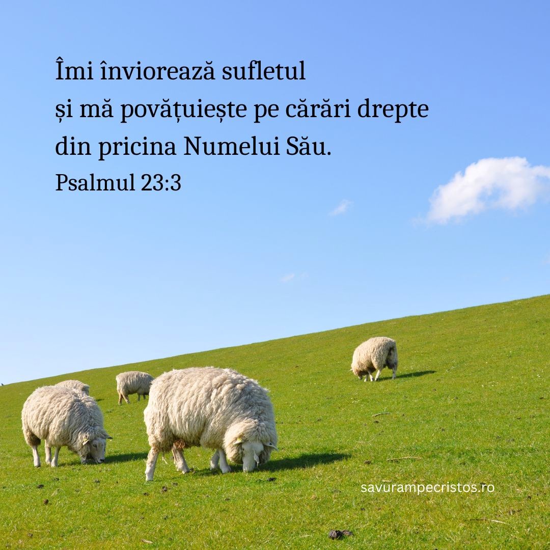 Îmi înviorează sufletul / și mă povățuiește pe cărări drepte / din pricina Numelui Său. Psalmul 23:3