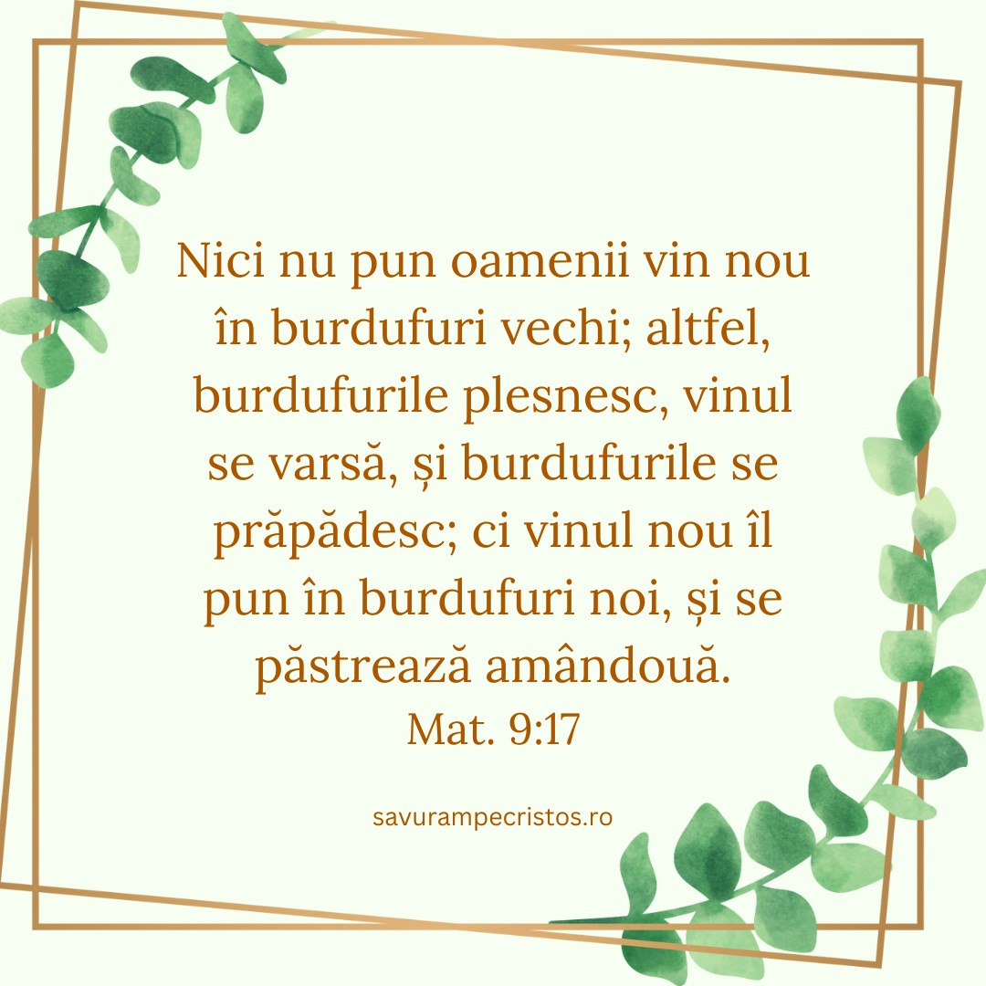 Nici nu pun oamenii vin nou în burdufuri vechi; altfel, burdufurile plesnesc, vinul se varsă, și burdufurile se prăpădesc; ci vinul nou îl pun în burdufuri noi, și se păstrează amândouă. Mat. 9:17