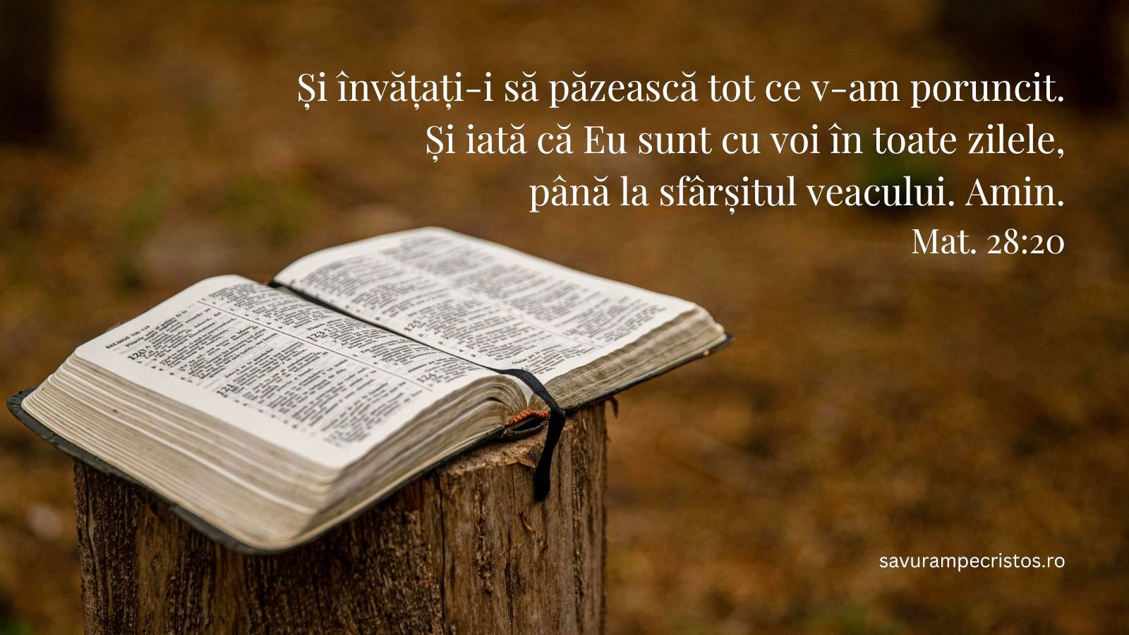 Și învățați-i să păzească tot ce v-am poruncit. Și iată că Eu sunt cu voi în toate zilele, până la sfârșitul veacului. Amin. Mat. 28:20