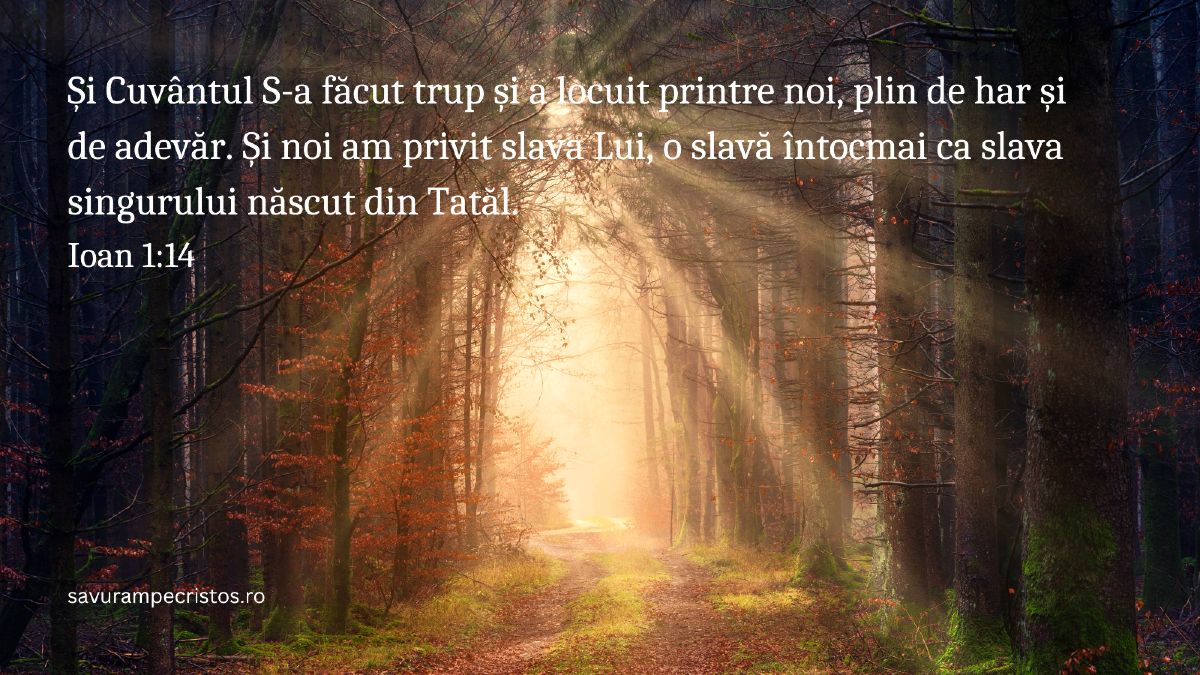 Și Cuvântul S-a făcut trup și a locuit printre noi, plin de har și de adevăr. Și noi am privit slava Lui, o slavă întocmai ca slava singurului născut din Tatăl. Ioan 1:14