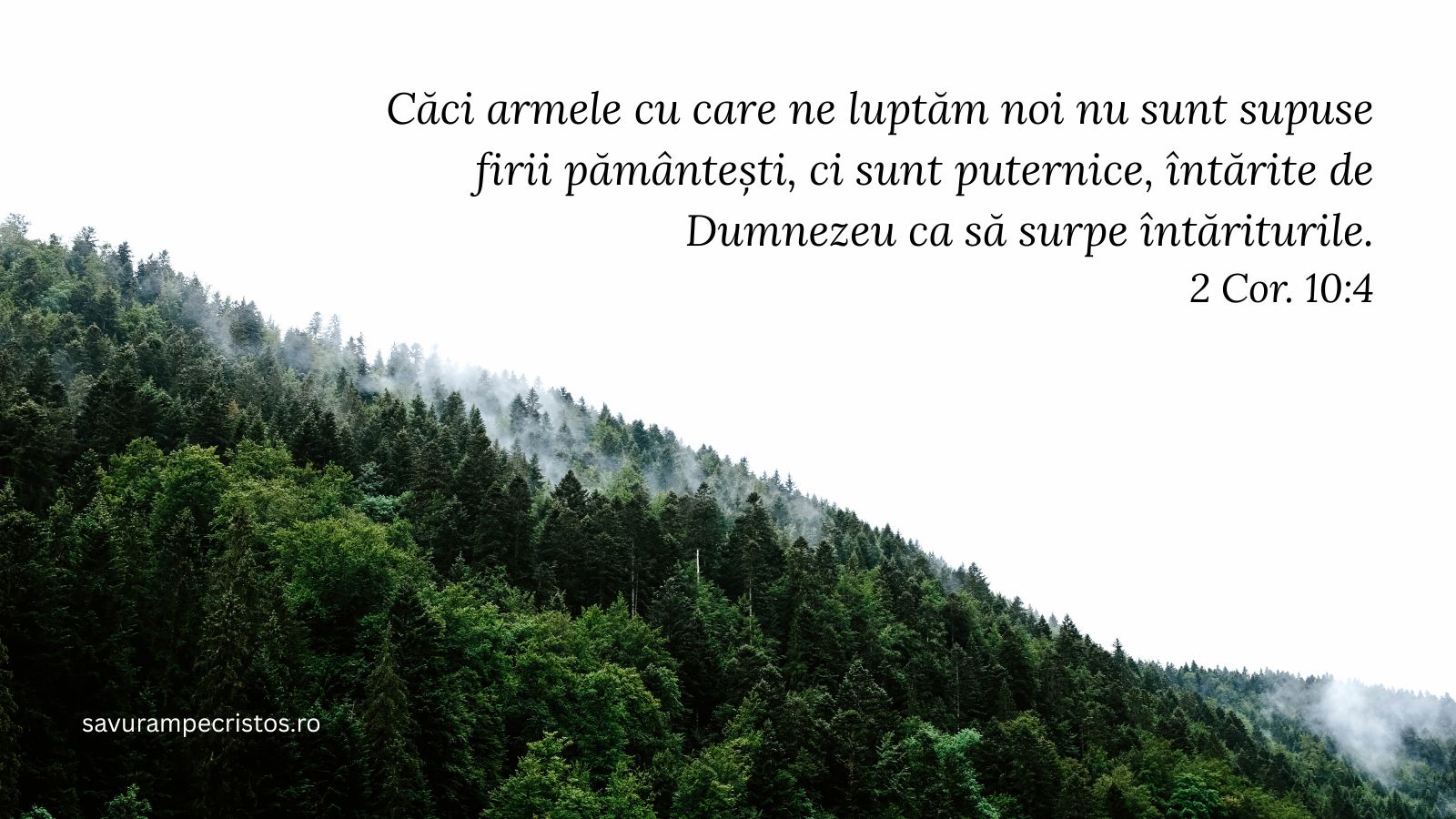 Căci armele cu care ne luptăm noi nu sunt supuse firii pământești, ci sunt puternice, întărite de Dumnezeu ca să surpe întăriturile. 2 Cor. 10:4