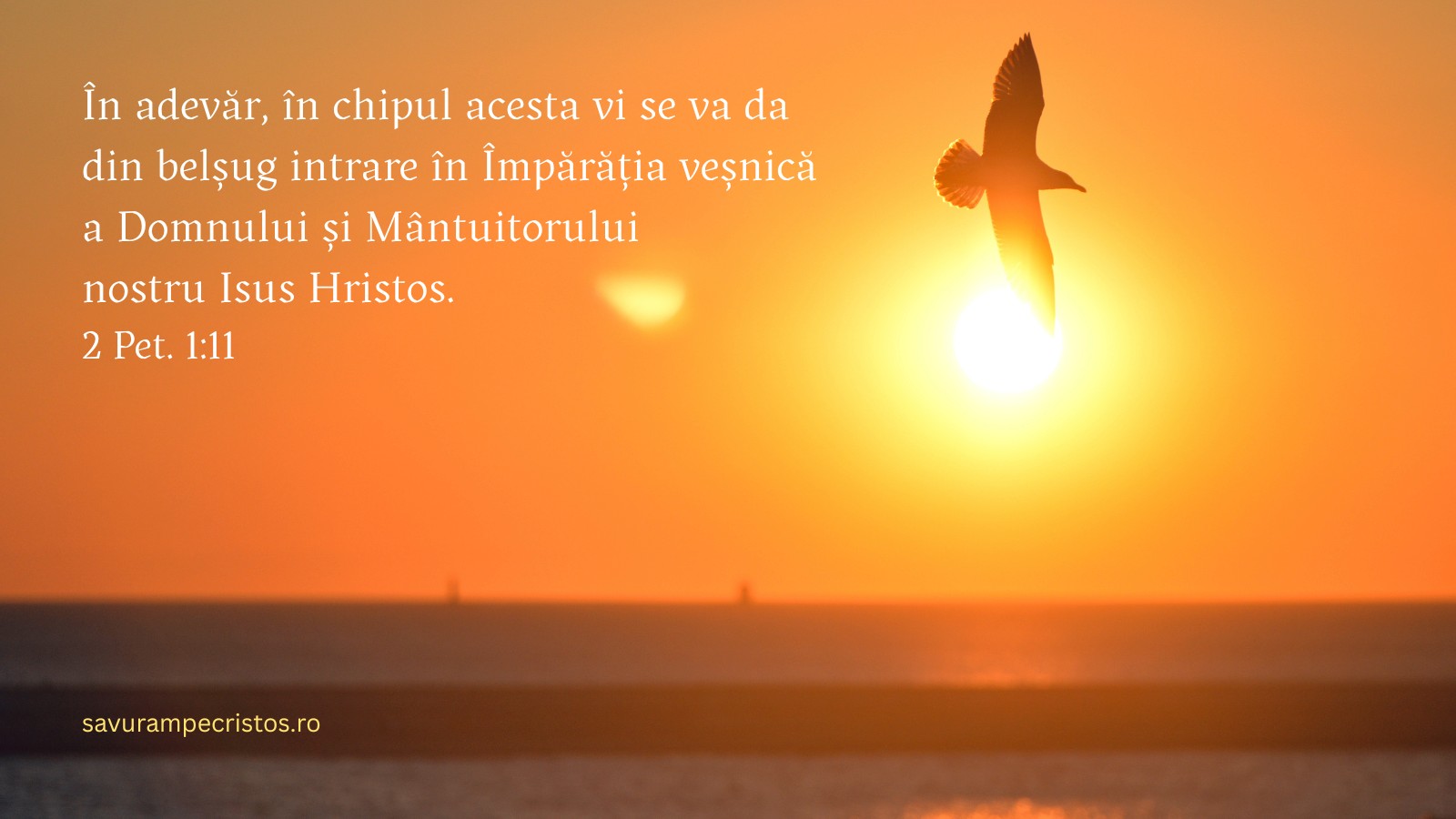 În adevăr, în chipul acesta vi se va da din belșug intrare în Împărăția veșnică a Domnului și Mântuitorului nostru Isus Hristos. 2 Pet. 1:11