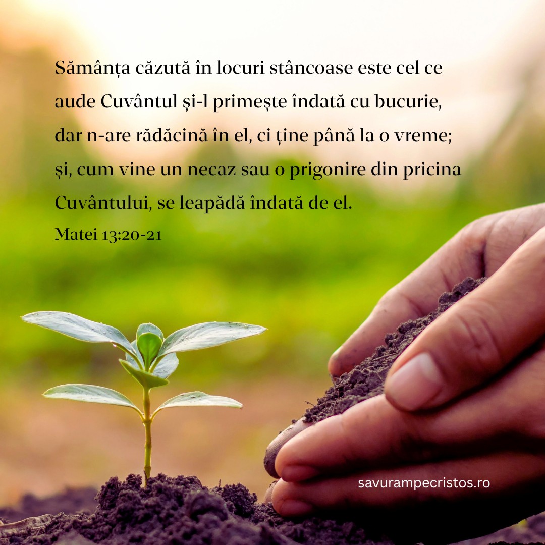 Sămânța căzută în locuri stâncoase este cel ce aude Cuvântul și-l primește îndată cu bucurie, dar n-are rădăcină în el, ci ține până la o vreme; și, cum vine un necaz sau o prigonire din pricina Cuvântului, se leapădă îndată de el. Matei 13:20-21
