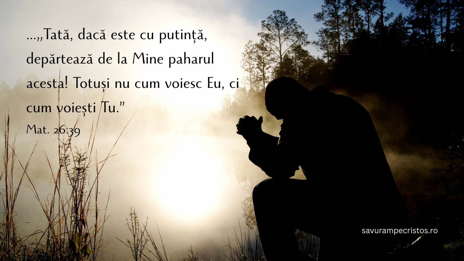 ...„Tată, dacă este cu putință, depărtează de la Mine paharul acesta! Totuși nu cum voiesc Eu, ci cum voiești Tu.” Mat. 26:39