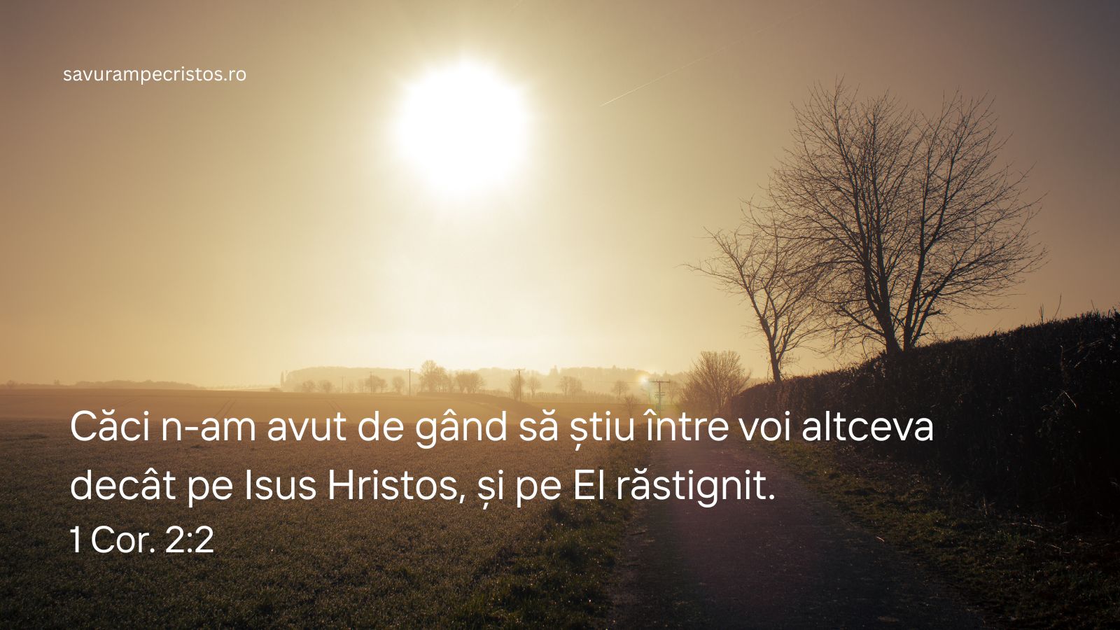 Căci n-am avut de gând să știu între voi altceva decât pe Isus Hristos, și pe El răstignit. 1 Cor. 2:2