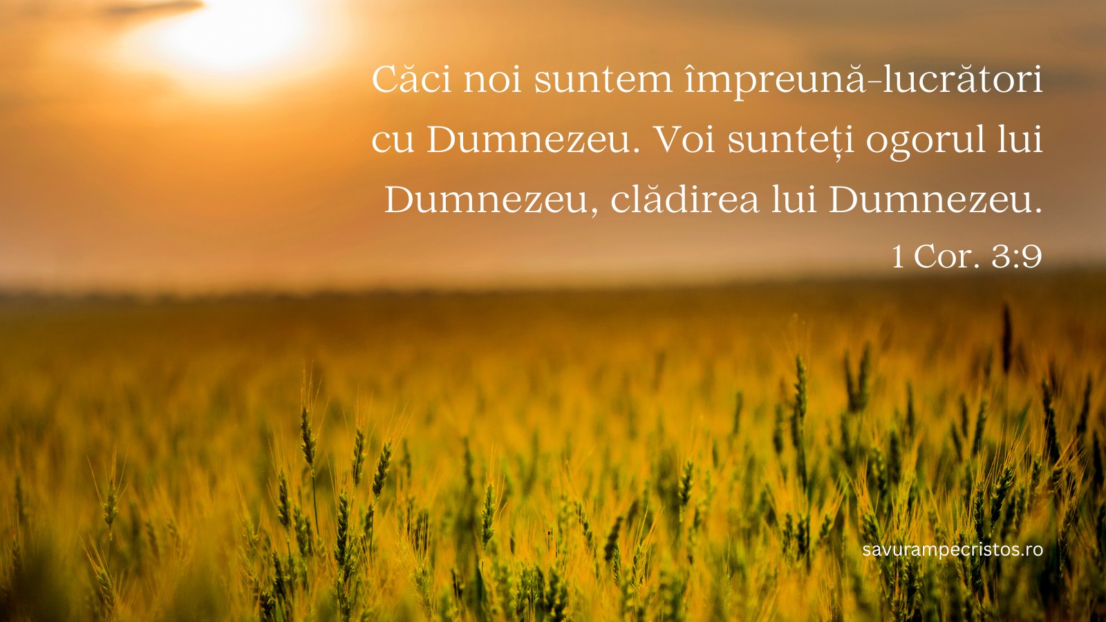 Căci noi suntem împreună-lucrători cu Dumnezeu. Voi sunteți ogorul lui Dumnezeu, clădirea lui Dumnezeu. 1 Cor. 3:9