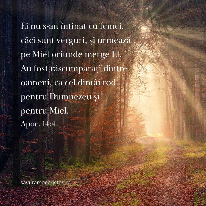 Ei nu s-au întinat cu femei, căci sunt verguri, și urmează pe Miel oriunde merge El. Au fost răscumpărați dintre oameni, ca cel dintâi rod pentru Dumnezeu și pentru Miel. Apoc. 14:4