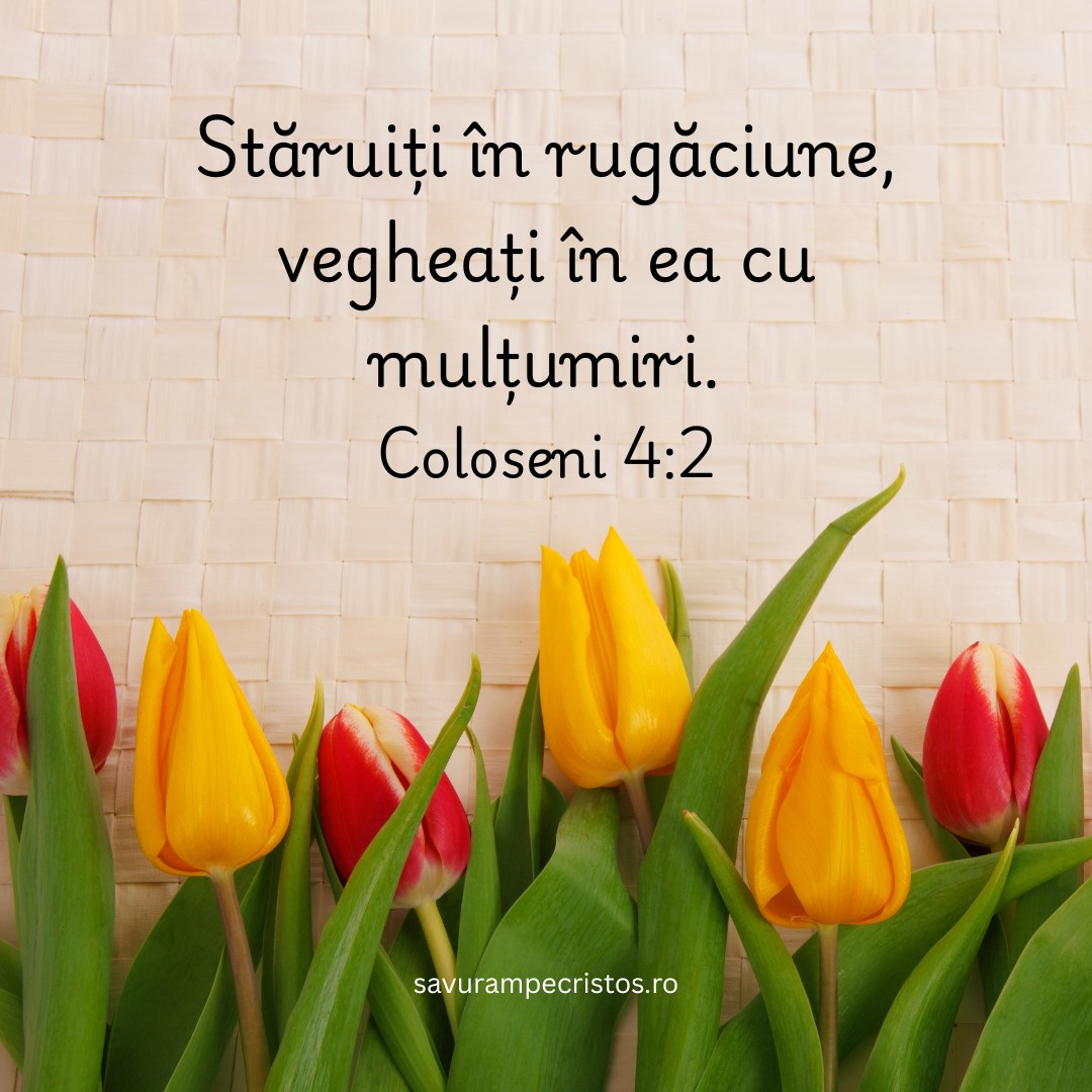 Stăruiți în rugăciune, vegheați în ea cu mulțumiri. Coloseni 4:2