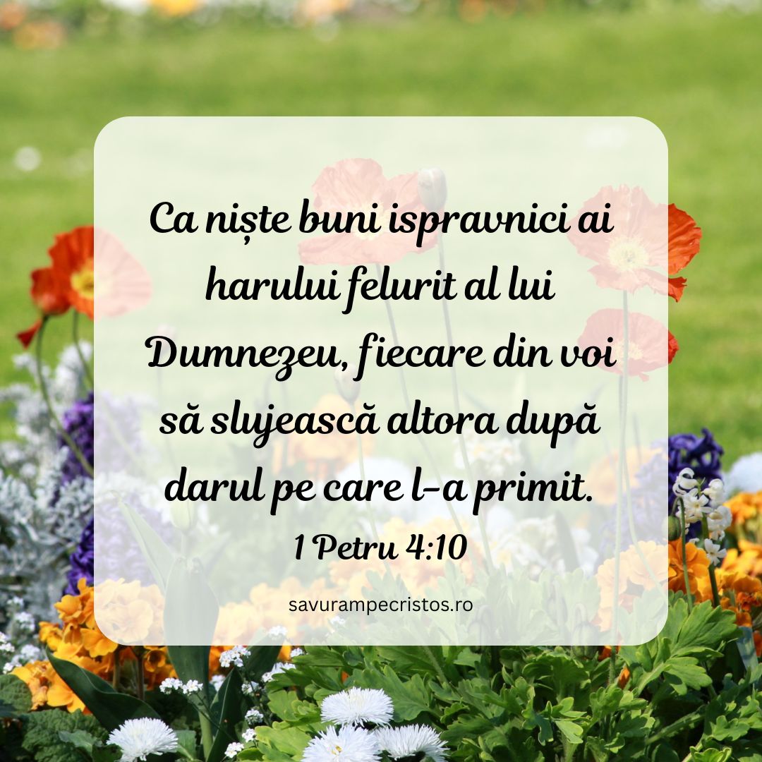 Ca niște buni ispravnici ai harului felurit al lui Dumnezeu, fiecare din voi să slujească altora după darul pe care l-a primit. 1 Petru 4:10