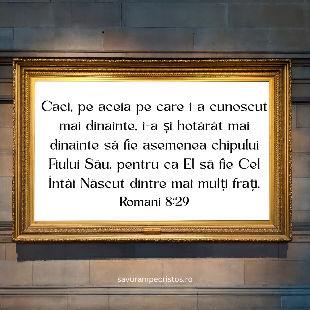 Căci, pe aceia pe care i-a cunoscut mai dinainte, i-a și hotărât mai dinainte să fie asemenea chipului Fiului Său, pentru ca El să fie Cel Întâi Născut dintre mai mulți frați. Romani 8:29