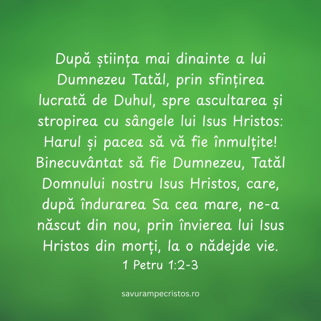 După știința mai dinainte a lui Dumnezeu Tatăl, prin sfințirea lucrată de Duhul, spre ascultarea și stropirea cu sângele lui Isus Hristos: Harul și pacea să vă fie înmulțite! Binecuvântat să fie Dumnezeu, Tatăl Domnului nostru Isus Hristos, care, după îndurarea Sa cea mare, ne-a născut din nou, prin învierea lui Isus Hristos din morți, la o nădejde vie. 1 Petru 1:2-3
