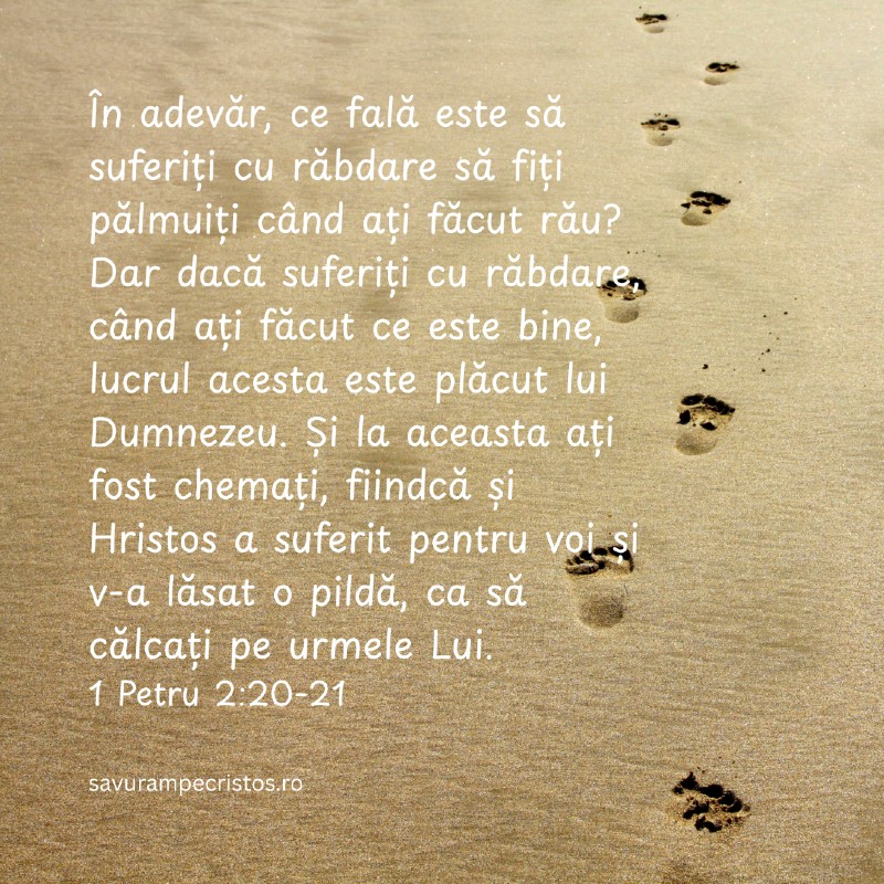 În adevăr, ce fală este să suferiți cu răbdare să fiți pălmuiți când ați făcut rău? Dar dacă suferiți cu răbdare, când ați făcut ce este bine, lucrul acesta este plăcut lui Dumnezeu. Și la aceasta ați fost chemați, fiindcă și Hristos a suferit pentru voi și v-a lăsat o pildă, ca să călcați pe urmele Lui. 1 Petru 2:20-21