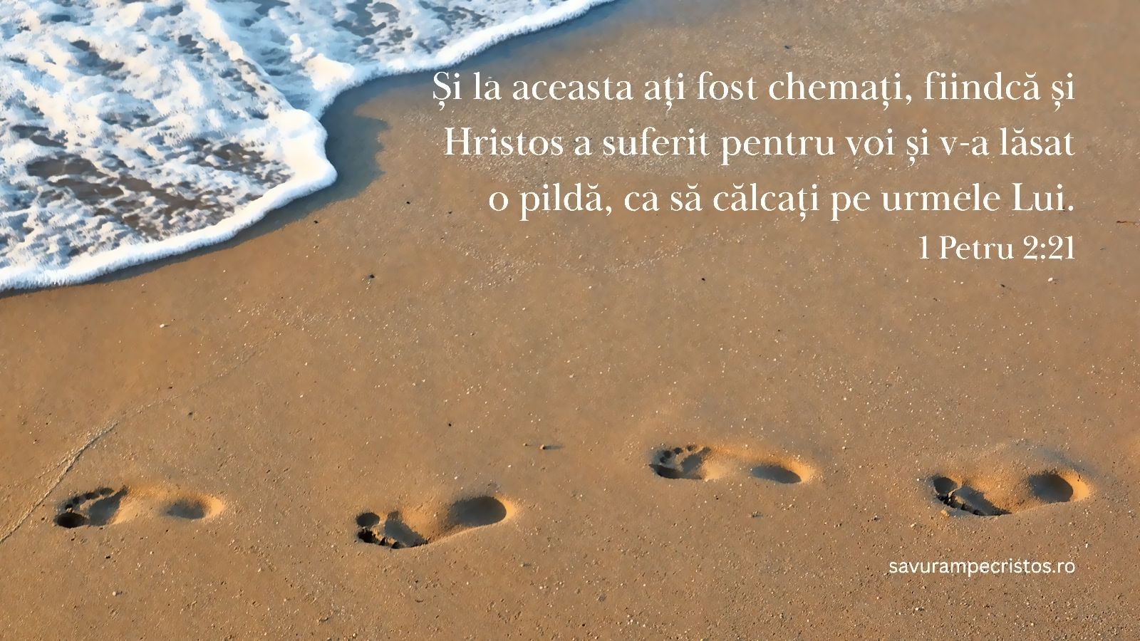 Și la aceasta ați fost chemați, fiindcă și Hristos a suferit pentru voi și v-a lăsat o pildă, ca să călcați pe urmele Lui. 1 Petru 2:21