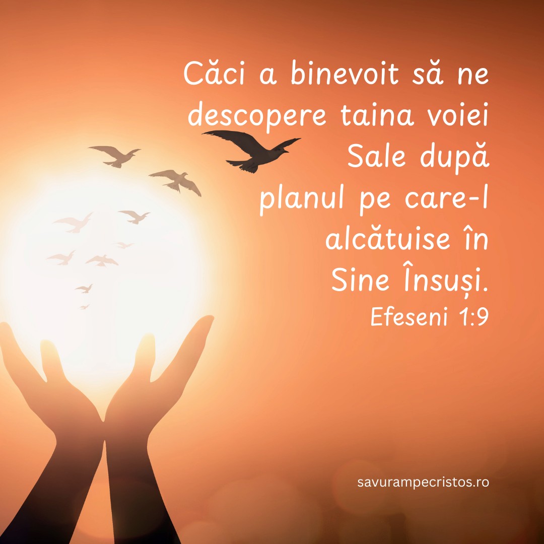 Căci a binevoit să ne descopere taina voiei Sale după planul pe care-l alcătuise în Sine Însuși. Efeseni 1:9 