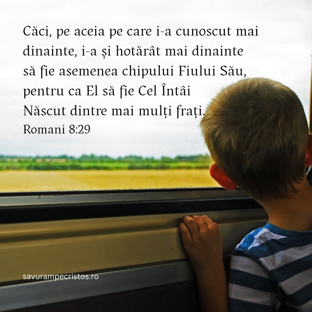 Căci, pe aceia pe care i-a cunoscut mai dinainte, i-a și hotărât mai dinainte să fie asemenea chipului Fiului Său, pentru ca El să fie Cel Întâi Născut dintre mai mulți frați. Romani 8:29
