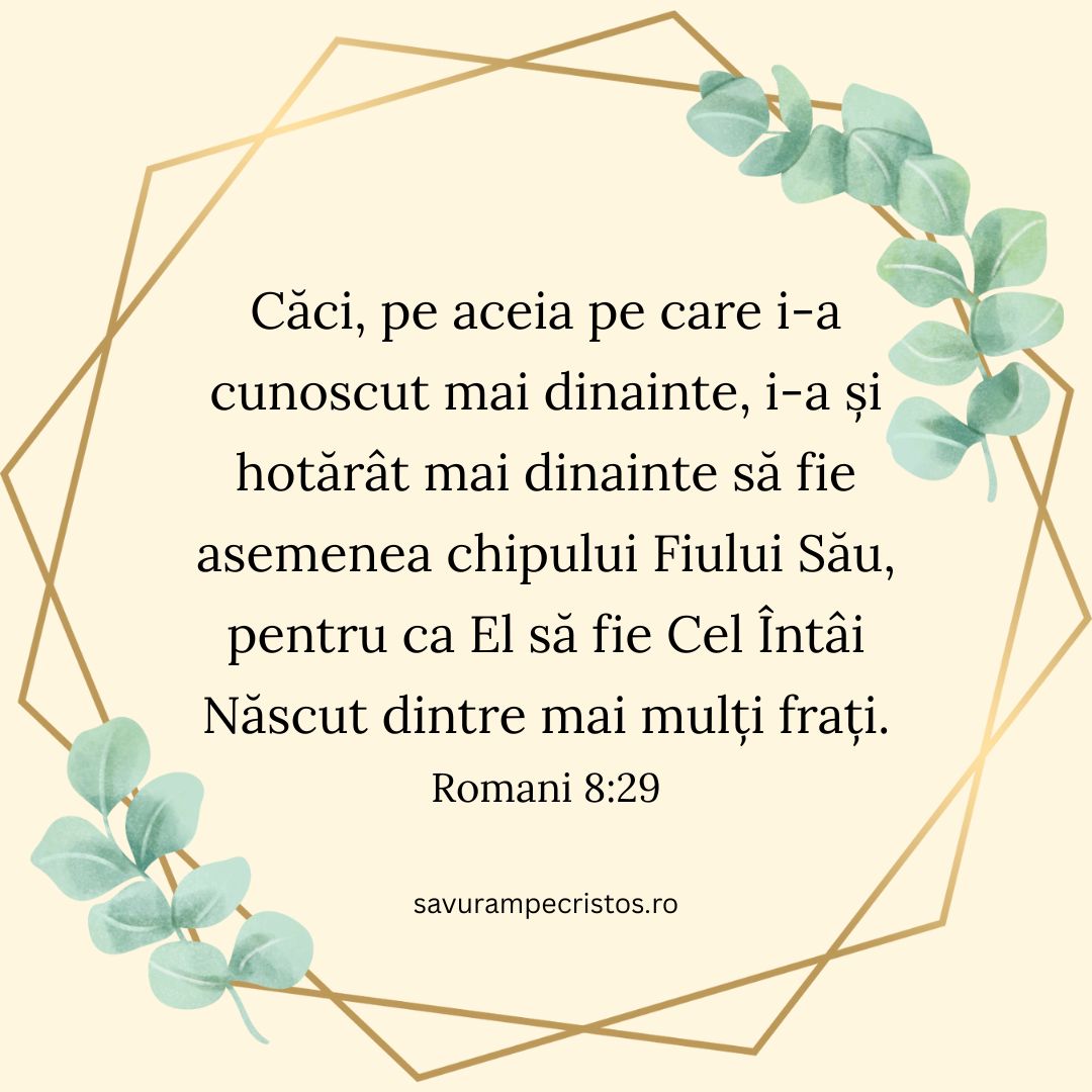 Căci, pe aceia pe care i-a cunoscut mai dinainte, i-a și hotărât mai dinainte să fie asemenea chipului Fiului Său, pentru ca El să fie Cel Întâi Născut dintre mai mulți frați. Romani 8:29
