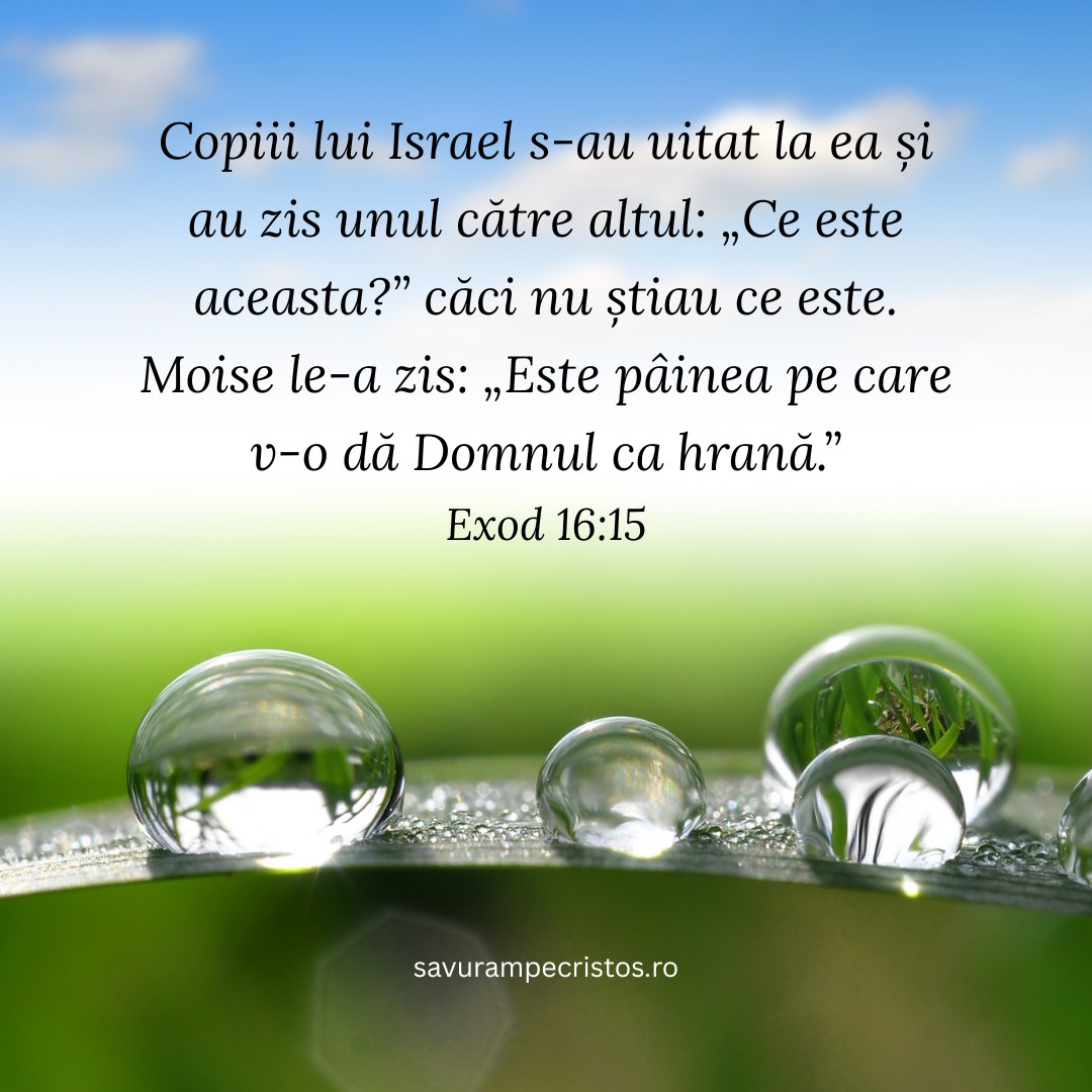 Copiii lui Israel s-au uitat la ea și au zis unul către altul: „Ce este aceasta?” căci nu știau ce este. Moise le-a zis: „Este pâinea pe care v-o dă Domnul ca hrană.” Exod 16:15 