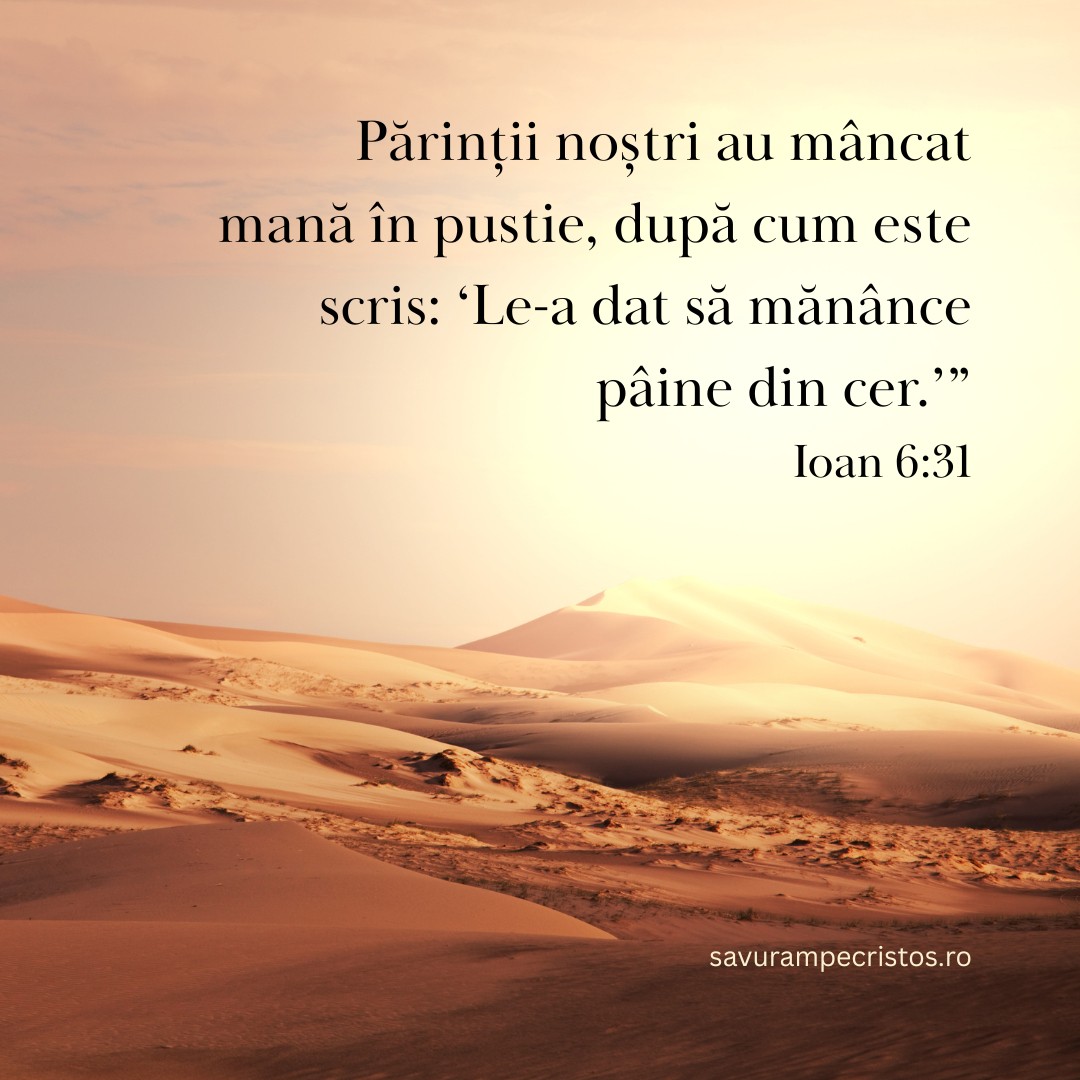 Părinții noștri au mâncat mană în pustie, după cum este scris: ‘Le-a dat să mănânce pâine din cer.’” Ioan 6:31
