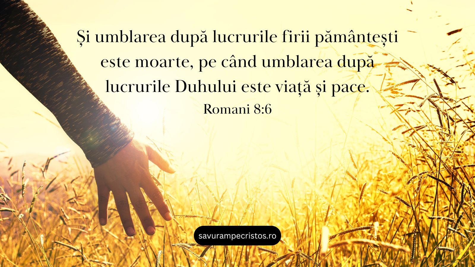 Și umblarea după lucrurile firii pământești este moarte, pe când umblarea după lucrurile Duhului este viață și pace. Romani 8:6