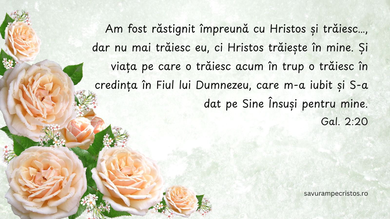 Am fost răstignit împreună cu Hristos și trăiesc…, dar nu mai trăiesc eu, ci Hristos trăiește în mine. Și viața pe care o trăiesc acum în trup o trăiesc în credința în Fiul lui Dumnezeu, care m-a iubit și S-a dat pe Sine Însuși pentru mine. Gal. 2:20