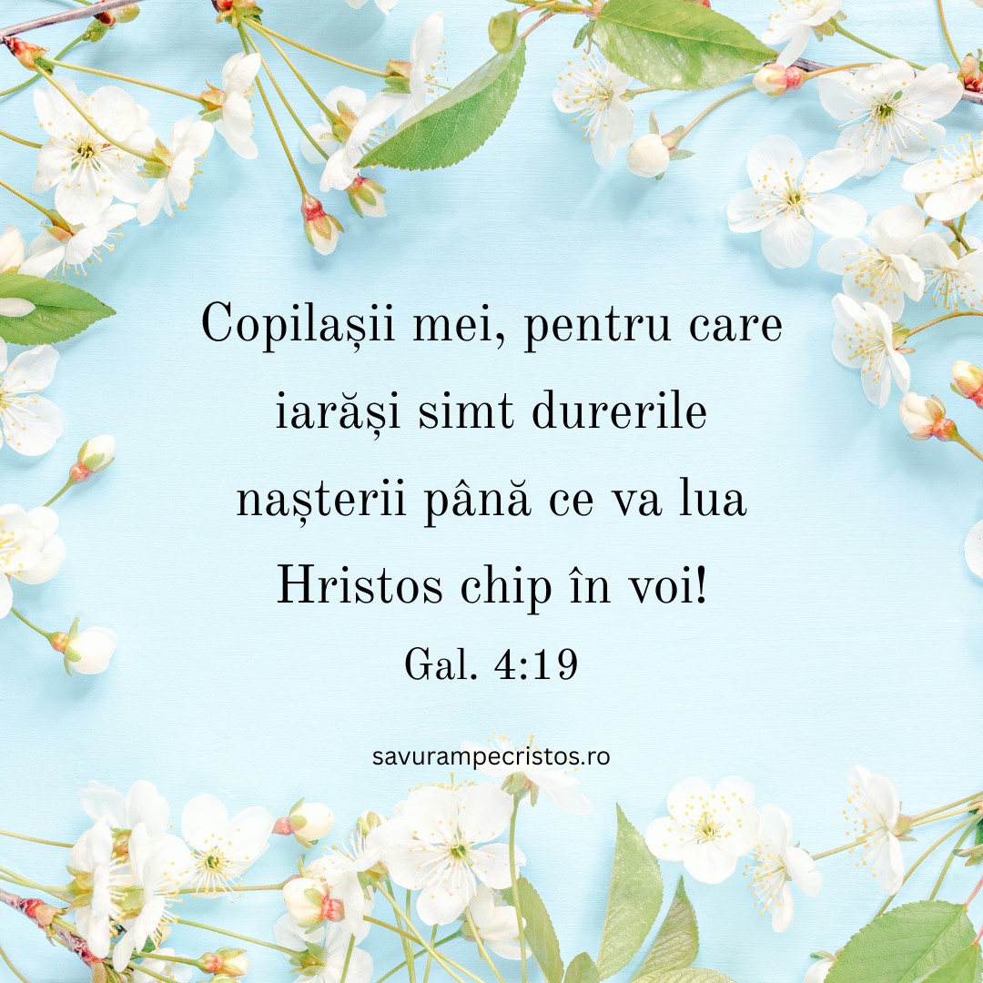 Copilașii mei, pentru care iarăși simt durerile nașterii până ce va lua Hristos chip în voi! Gal. 4:19