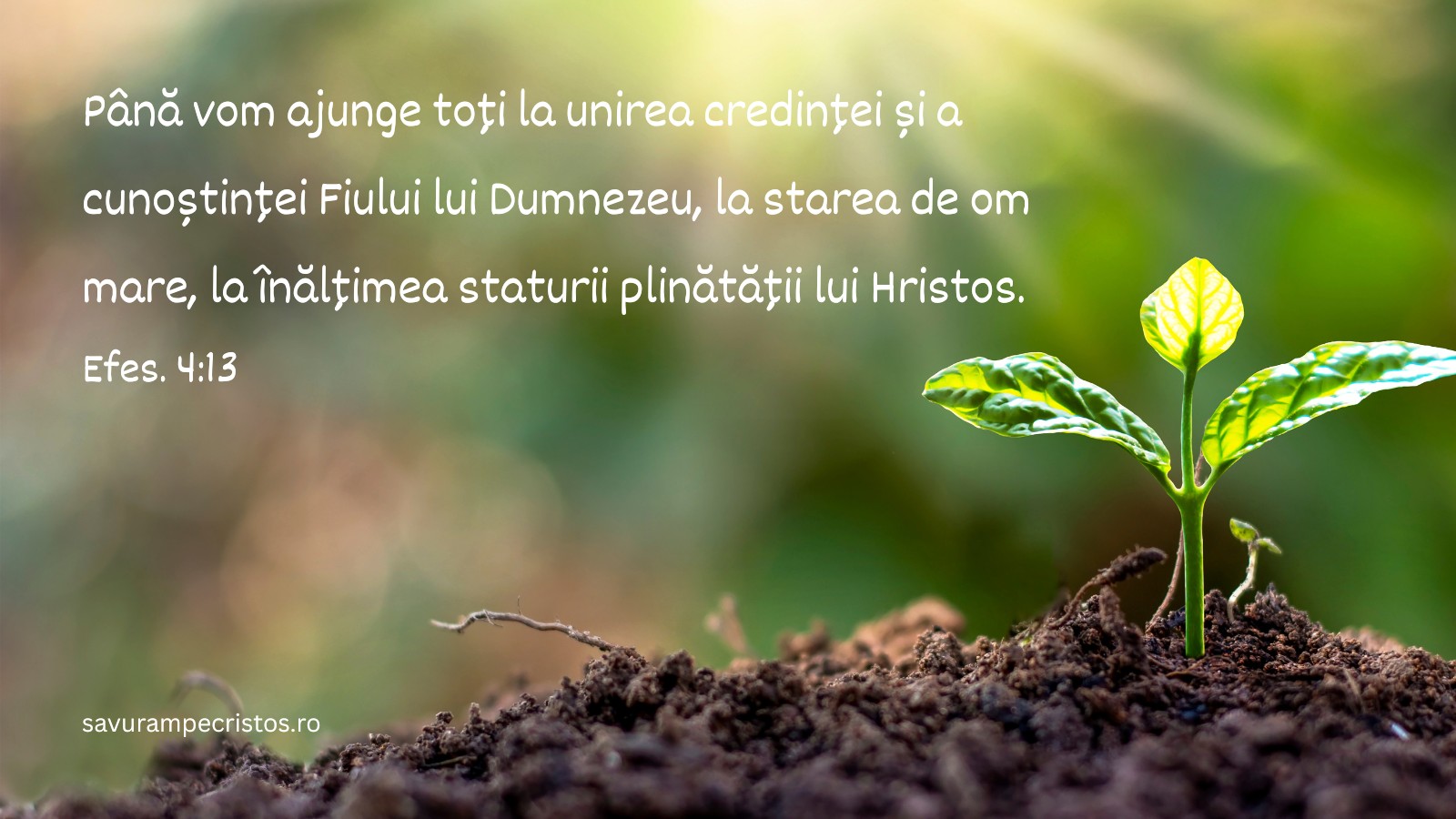 Până vom ajunge toți la unirea credinței și a cunoștinței Fiului lui Dumnezeu, la starea de om mare, la înălțimea staturii plinătății lui Hristos Efes. 4:13