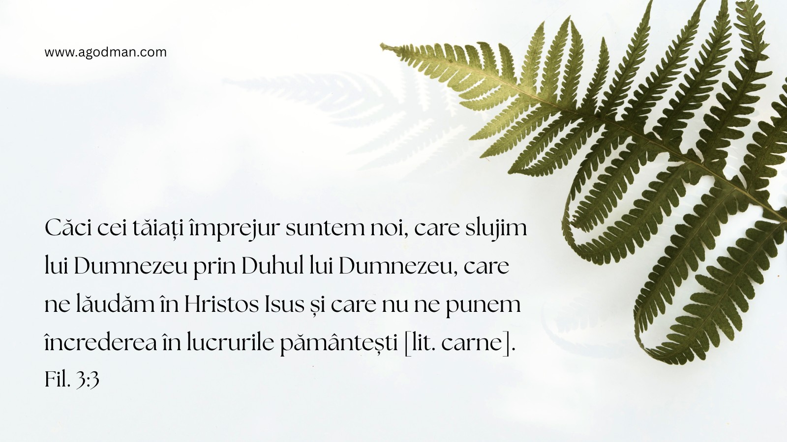 Căci cei tăiați împrejur suntem noi, care slujim lui Dumnezeu prin Duhul lui Dumnezeu, care ne lăudăm în Hristos Isus și care nu ne punem încrederea în lucrurile pământești [lit. carne]. Fil. 3:3
