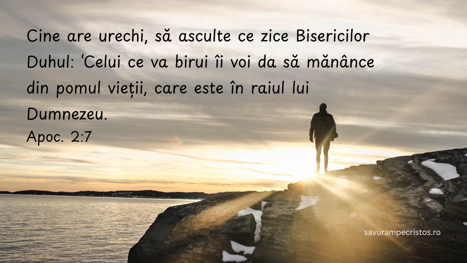 Cine are urechi, să asculte ce zice Bisericilor Duhul: ‘Celui ce va birui îi voi da să mănânce din pomul vieții, care este în raiul lui Dumnezeu. Apoc. 2:7 