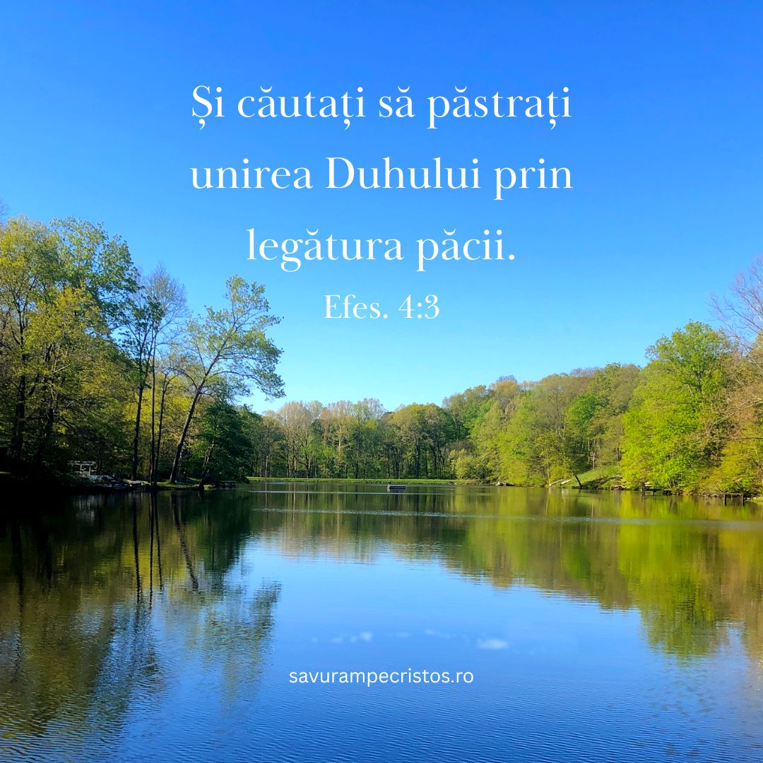 Și căutați să păstrați unirea Duhului prin legătura păcii. Efes. 4:3