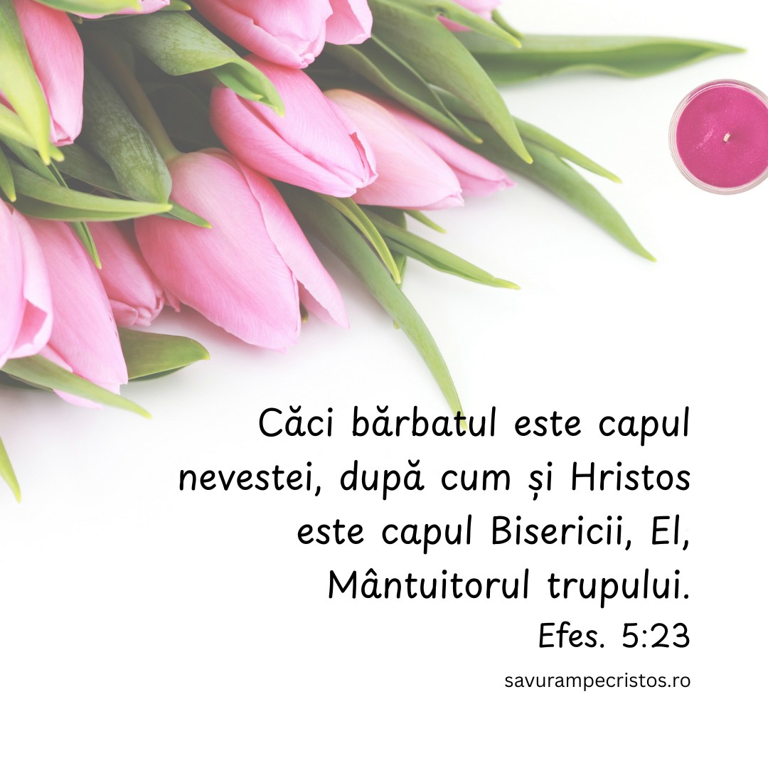 Căci bărbatul este capul nevestei, după cum și Hristos este capul Bisericii, El, Mântuitorul trupului. Efes. 5:23