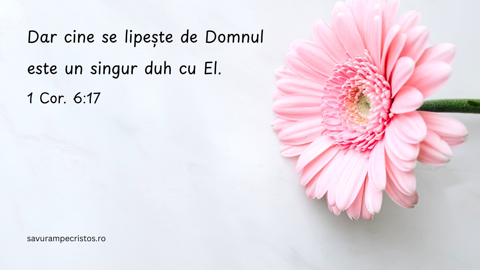 Dar cine se lipește de Domnul este un singur duh cu El. 1 Cor. 6:17
