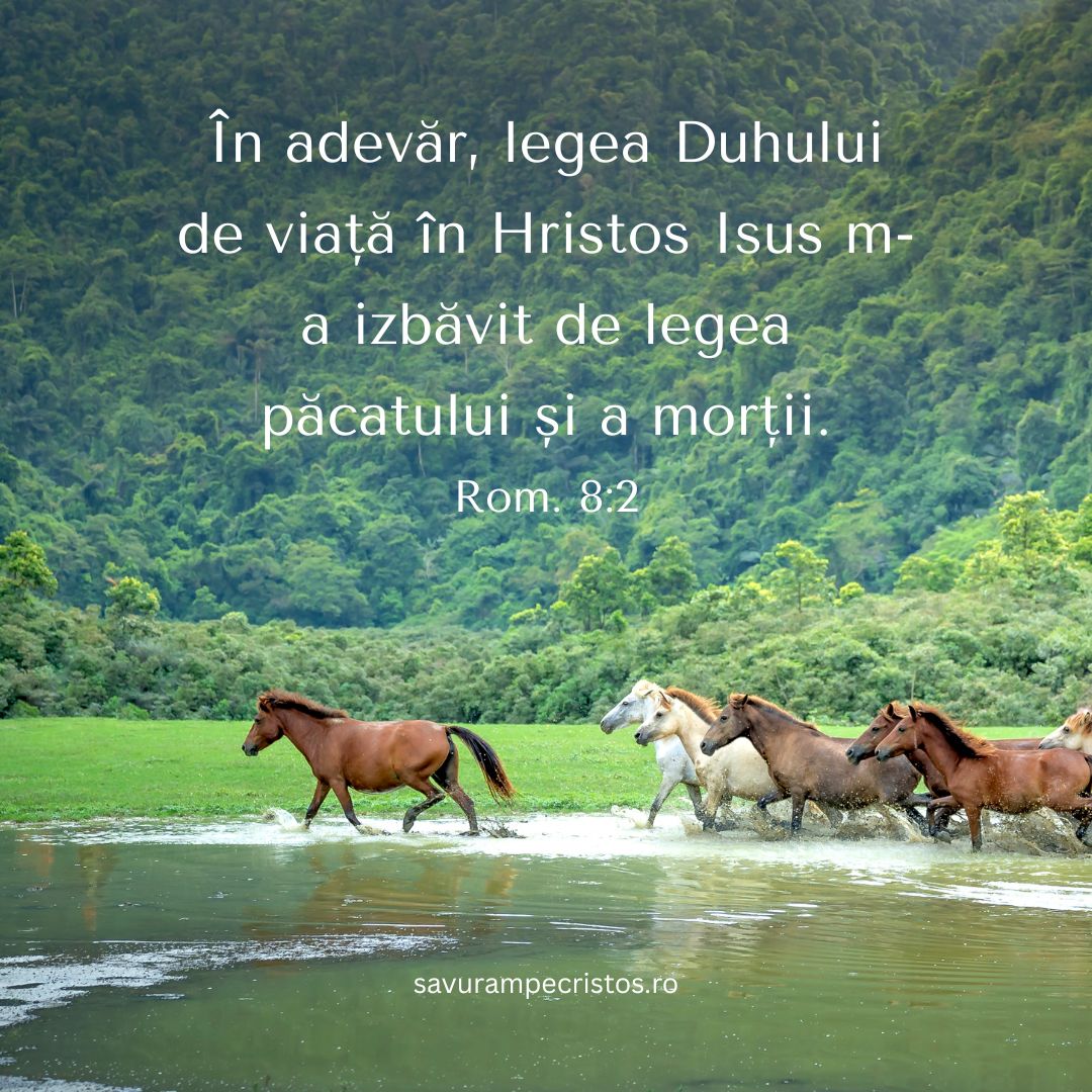 În adevăr, legea Duhului de viață în Hristos Isus m-a izbăvit de legea păcatului și a morții. Rom. 8:2 
