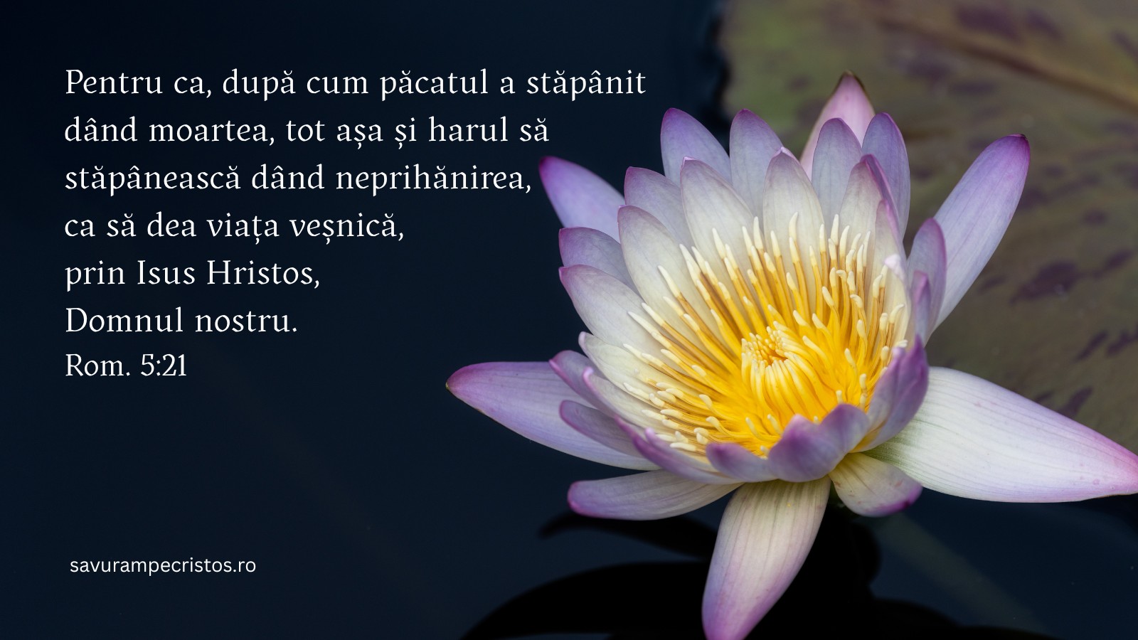 Pentru ca, după cum păcatul a stăpânit dând moartea, tot așa și harul să stăpânească dând neprihănirea, ca să dea viața veșnică, prin Isus Hristos, Domnul nostru. Rom. 5:21