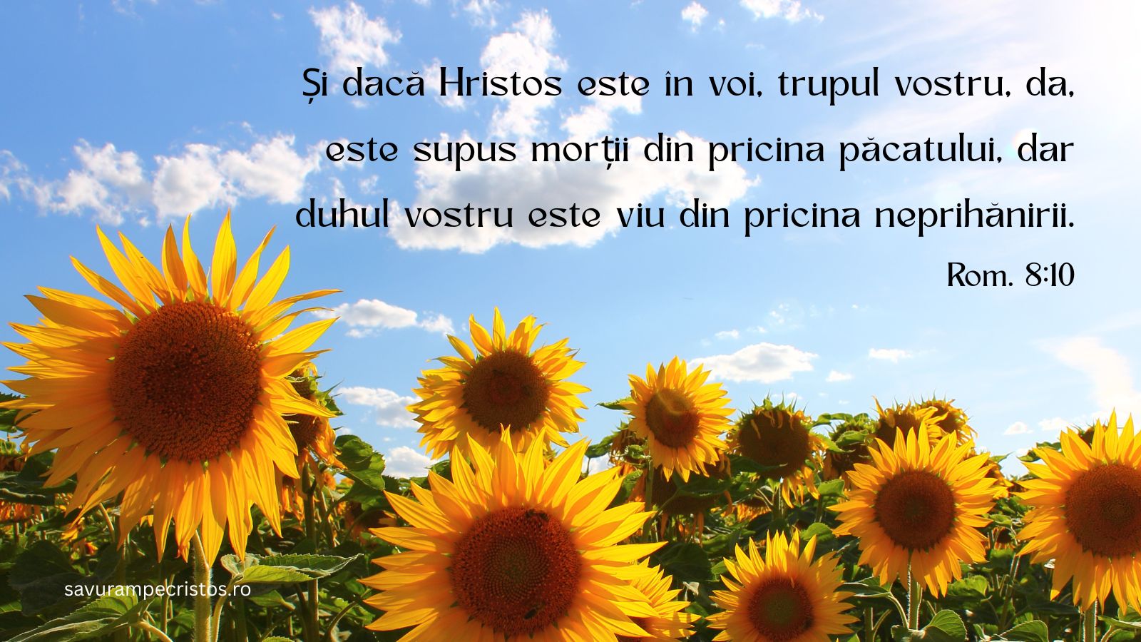 Și dacă Hristos este în voi, trupul vostru, da, este supus morții din pricina păcatului, dar duhul vostru este viu din pricina neprihănirii. Rom. 8:10
