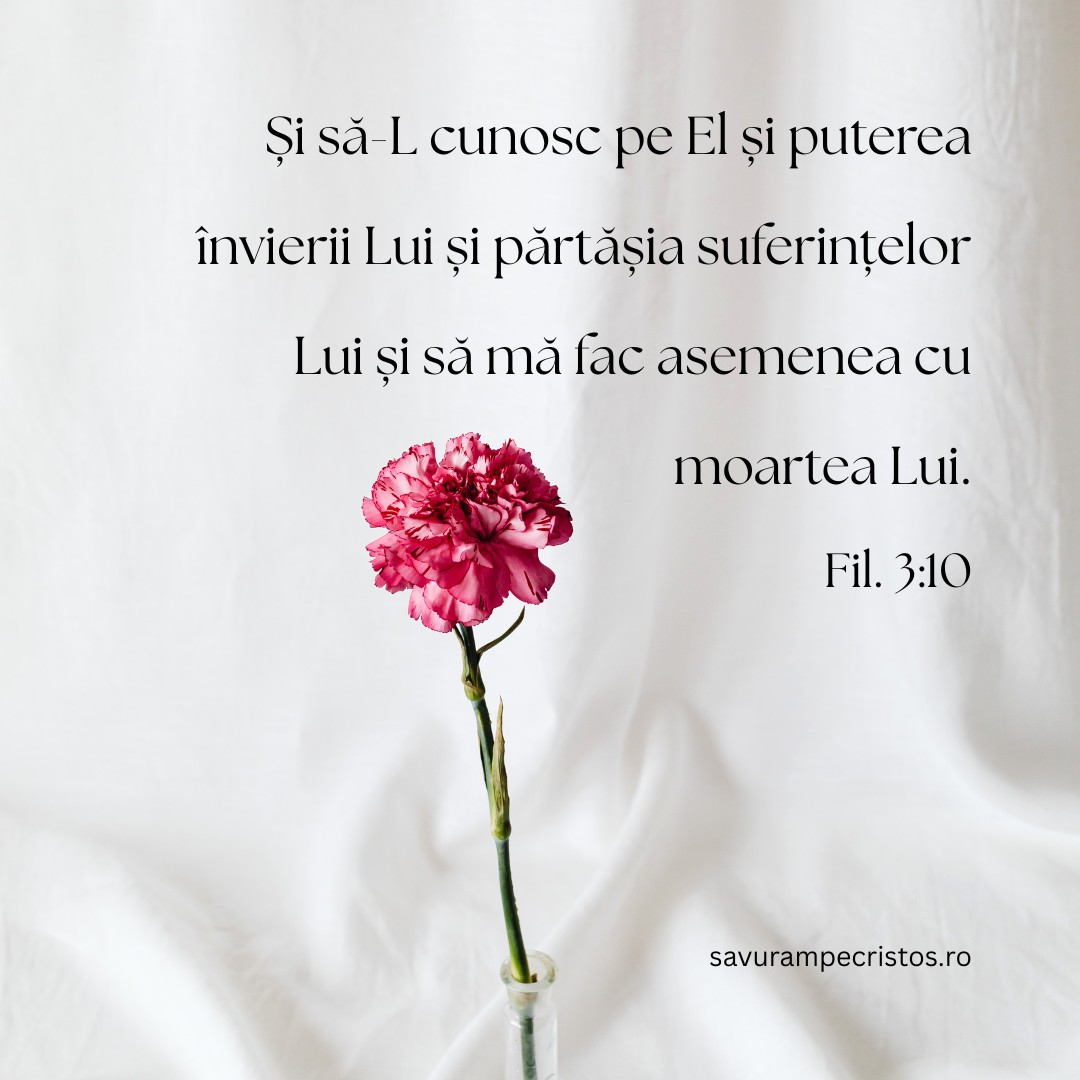 Și să-L cunosc pe El și puterea învierii Lui și părtășia suferințelor Lui și să mă fac asemenea cu moartea Lui. Fil. 3:10