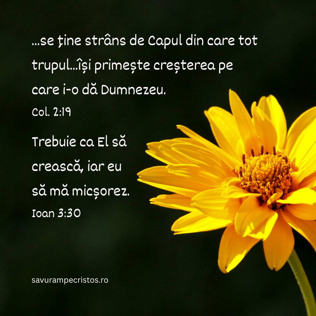 ...se ține strâns de Capul din care tot trupul...își primește creșterea pe care i-o dă Dumnezeu. Col. 2:19 Trebuie ca El să crească, iar eu să mă micșorez. Ioan 3:30