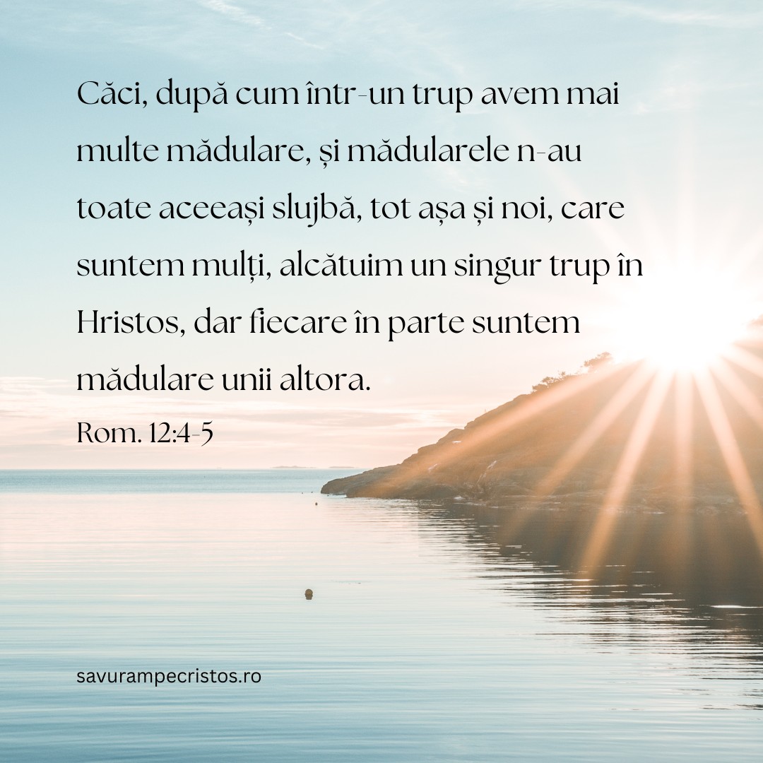 Căci, după cum într-un trup avem mai multe mădulare, și mădularele n-au toate aceeași slujbă, tot așa și noi, care suntem mulți, alcătuim un singur trup în Hristos, dar fiecare în parte suntem mădulare unii altora. Rom. 12:4-5 