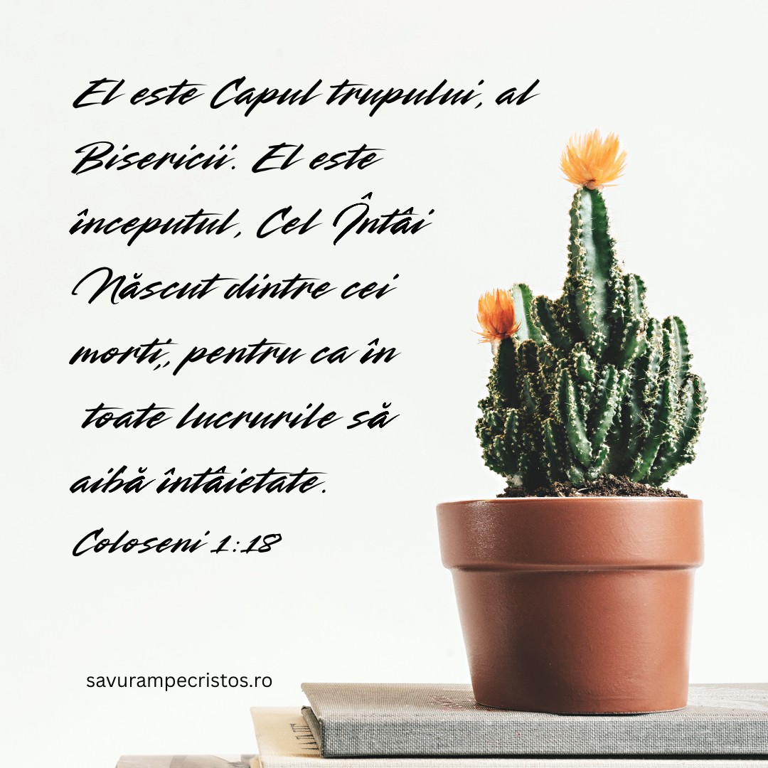 El este Capul trupului, al Bisericii. El este începutul, Cel Întâi Născut dintre cei morți, pentru ca în toate lucrurile să aibă întâietate. Coloseni 1:18