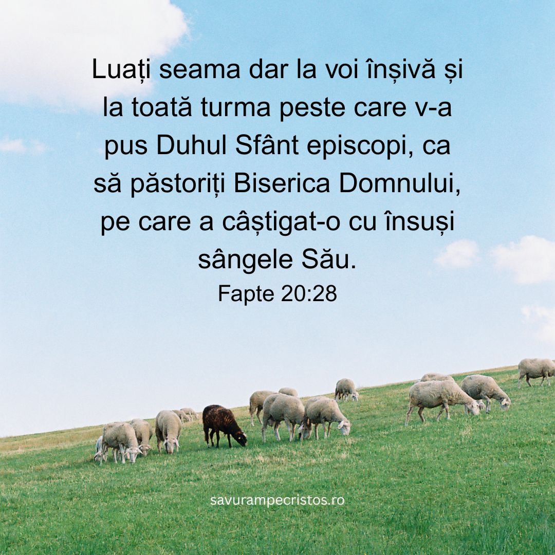 Luați seama dar la voi înșivă și la toată turma peste care v-a pus Duhul Sfânt episcopi, ca să păstoriți Biserica Domnului, pe care a câștigat-o cu însuși sângele Său. Fapte 20:28