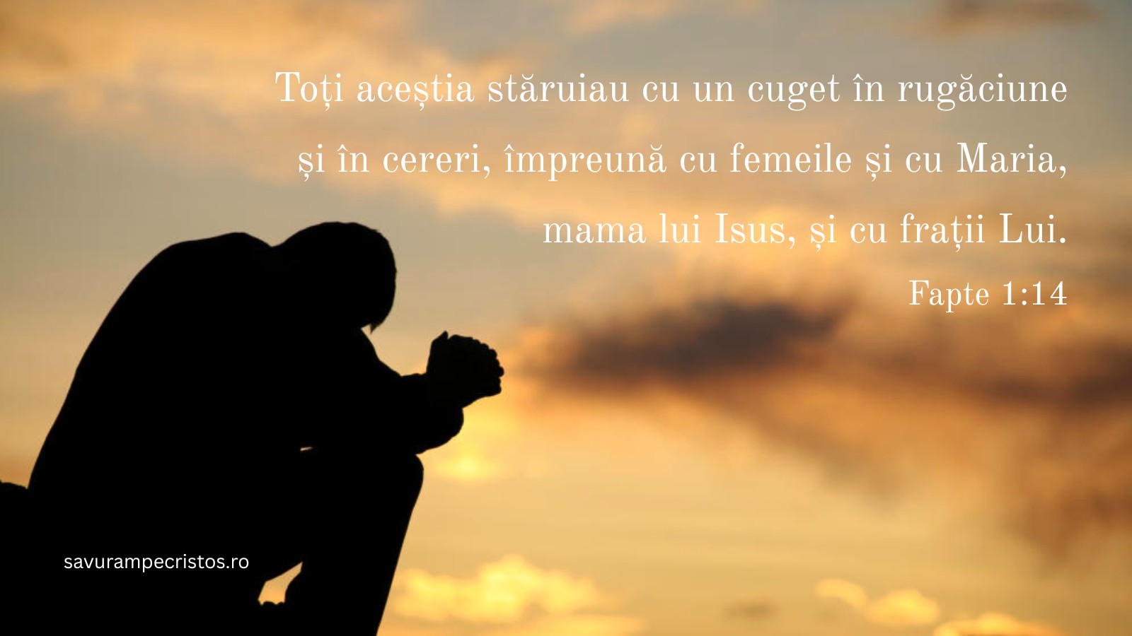 Toți aceștia stăruiau cu un cuget în rugăciune și în cereri, împreună cu femeile și cu Maria, mama lui Isus, și cu frații Lui. Fapte 1:14