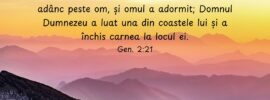 Atunci, Domnul Dumnezeu a trimis un somn adânc peste om, și omul a adormit; Domnul Dumnezeu a luat una din coastele lui și a închis carnea la locul ei. Gen. 2:21