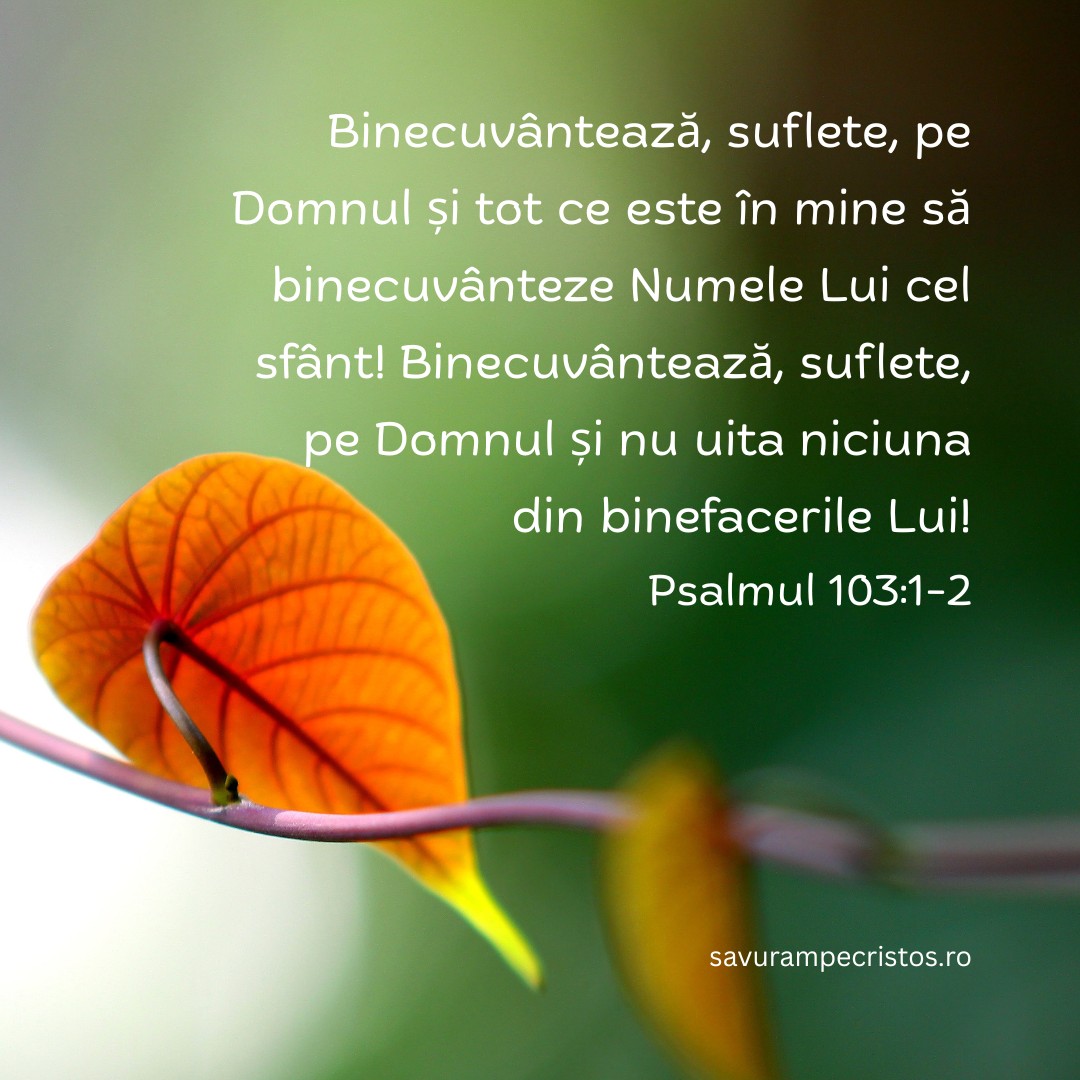 Binecuvântează, suflete, pe Domnul și tot ce este în mine să binecuvânteze Numele Lui cel sfânt! Binecuvântează, suflete, pe Domnul și nu uita niciuna din binefacerile Lui! Psalmul 103:1-2