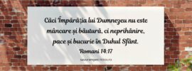 Căci Împărăția lui Dumnezeu nu este mâncare și băutură, ci neprihănire, pace și bucurie în Duhul Sfânt. Romani 14:17